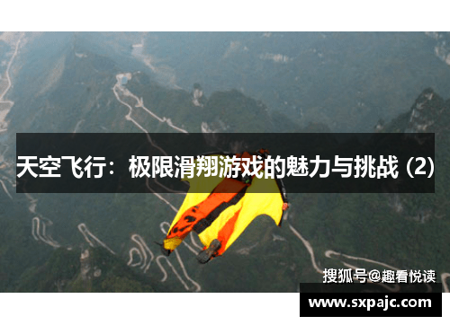 天空飞行：极限滑翔游戏的魅力与挑战 (2)